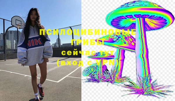 ПСИЛОЦИБИНОВЫЕ ГРИБЫ Арсеньев