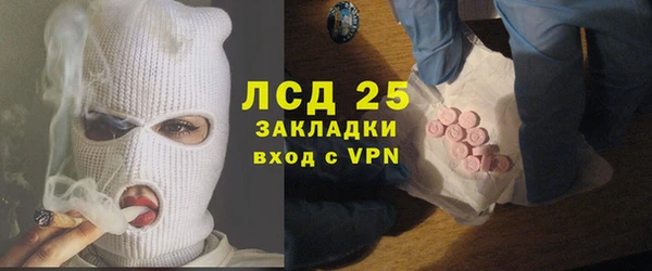 ПСИЛОЦИБИНОВЫЕ ГРИБЫ Арсеньев