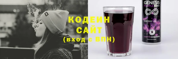ПСИЛОЦИБИНОВЫЕ ГРИБЫ Арсеньев