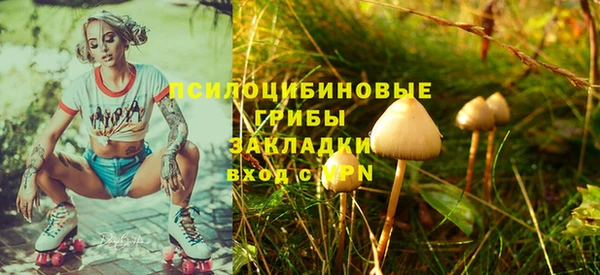 ПСИЛОЦИБИНОВЫЕ ГРИБЫ Арсеньев