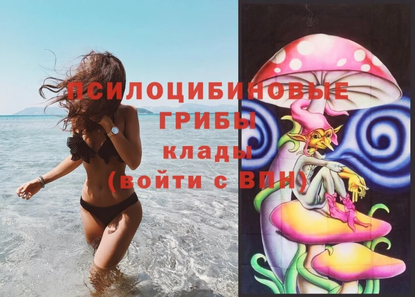 ПСИЛОЦИБИНОВЫЕ ГРИБЫ Арсеньев