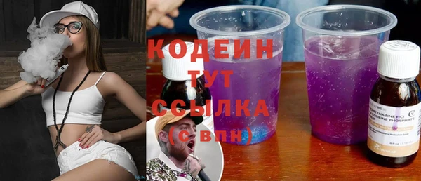 ПСИЛОЦИБИНОВЫЕ ГРИБЫ Арсеньев