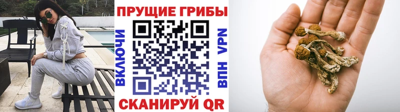 купить наркотики сайты  Инсар  Галлюциногенные грибы мухоморы 